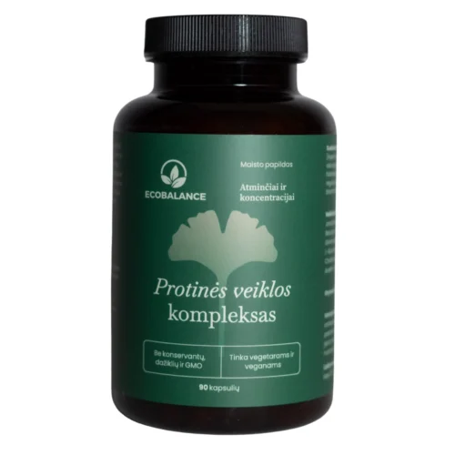 Protinės veiklos kompleksas